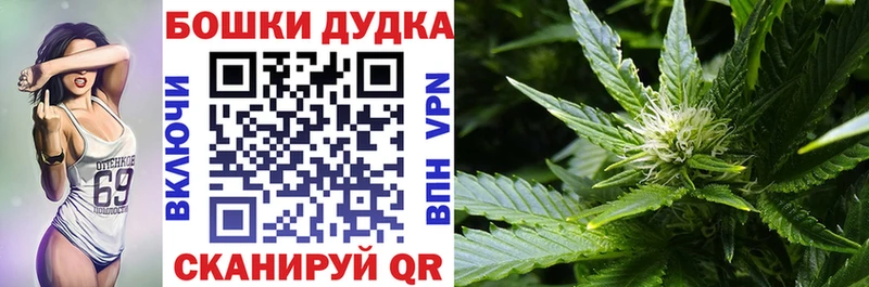 МАРИХУАНА план  Купить где  Красноармейск 